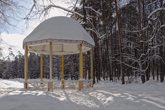Gazebo in winter park