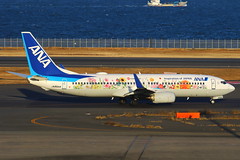 ANA 全日空 Boeing 737-881(WL) 'Tohoku Flower Jet' JA85AN