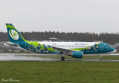 Aer Lingus (IRFU Livery) A320-200 EI-DEG