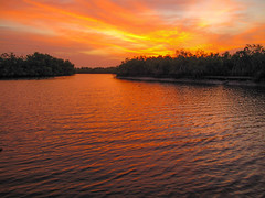 2024 (challenge No. 1- old unpublished pics) - Day 61 - Dawn breaking over the mangroves, The Gambia, 2011
