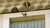 L'envol de l'hirondelle - The swallow's flight - Archive 05-2011