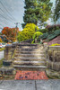 Stone Stairway with Colorful Vegetation