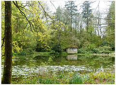 Woodland gardens on the  Wallington Estate, Near Morpeth, Northumberland