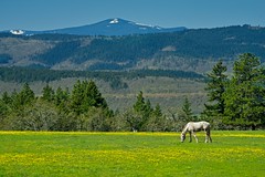 Horse Meadow Mountains 3787 A (Explored)