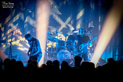 The Pineapple Thief images