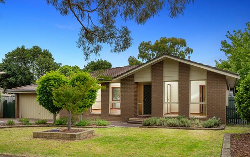 17 Fewster Dr, Wantirna South VIC 3152