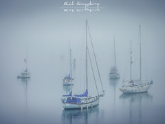 Misty Morning at Morro Bay, California, USA