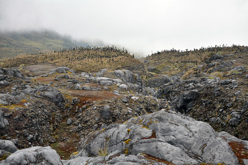 29310: Los Nevados landscape