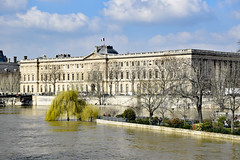 2024.03.07.014 PARIS - La Seine en crue, le square du Vert-Galand et le Louvre.