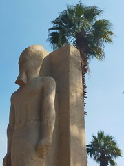 Dans le  jardin archéologique de , Memphis, Mit Rahina, gouvernorat de Gizeh, Egypte.