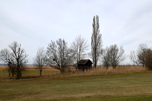 Rheindelta - Hütte