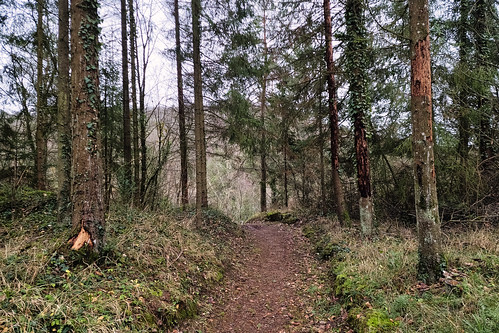 Forest path near Rumelange