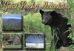 Great Smoky Mountains, Tennessee, North Carolina