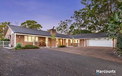 31 Blaxland Road, Macquarie Hills NSW