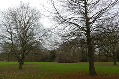 Canons Park