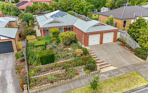 53 Rossack Drive, Grovedale VIC