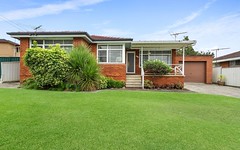 205 Meadows Road, Mount Pritchard NSW