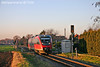 DB Regio 643 ___ // Bergheim