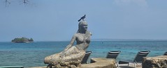 Sirena del Rosario Isla del Pirata bird viewpoint