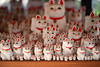 Gotokuji Temple Cats