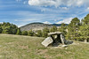 Dolmen de la Paborda