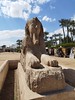 Giza & Saqqara, Egypt
