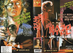Seoul Korea vintage VHS cover art for cult 1970s exploiter 