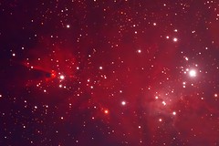 Cone Nebula in the Christmas Tree Cluster