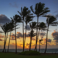 sunrise - Kauai, HI - 10-16-17  03