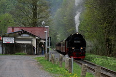 2022-05-05; 0021. HSB 99 7245-6 met trein 8920. Hp. Netzkater, Harztor.