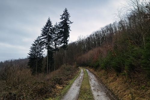 Track near Büderscheid