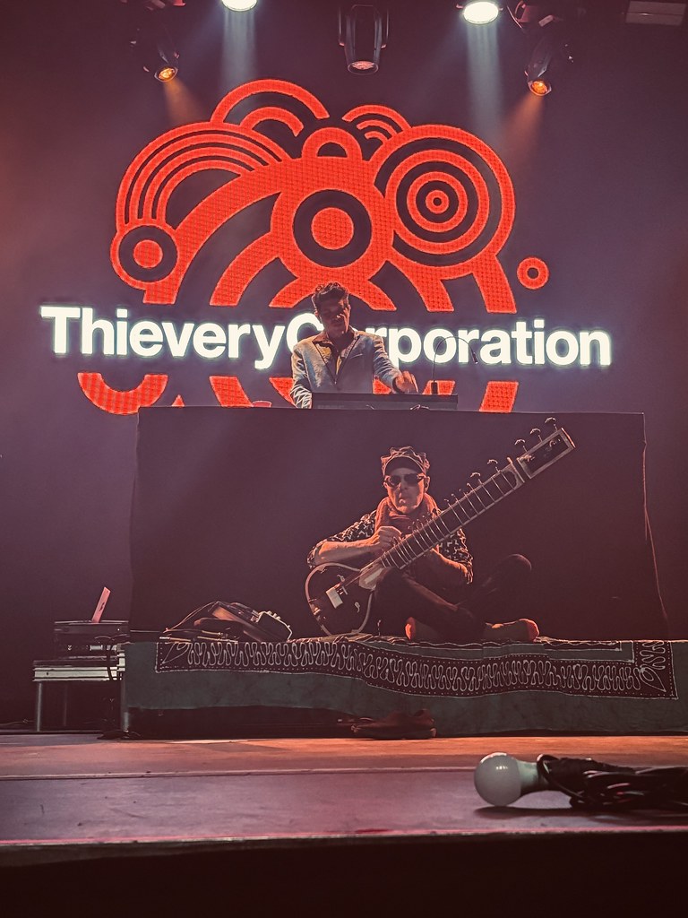 Thievery Corporation images