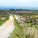 The path across Barningham Moor 1