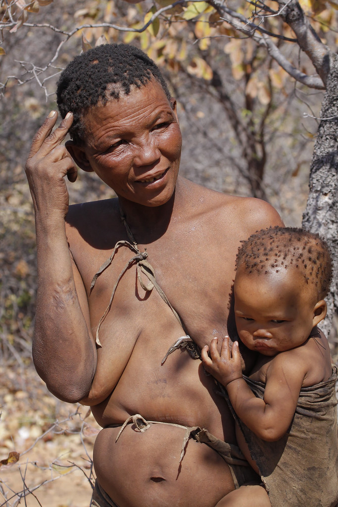 Bushman images