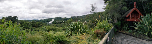 Te Puia - Whakarewarewa Geyser Terrace