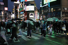 Les parapluies de Shibuya // Shibuya umbrellas