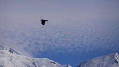 Flight over the Mont Blanc massif
