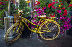 A Yellow Bicycle