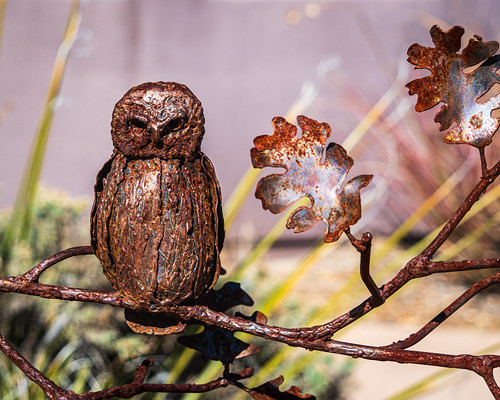 Highlands Center for Natural History - Saw Whet Owl Sculpture - Prescott