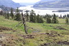 Columbia River from Catherine Creek