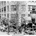 Asheville NC: The Paris of the South, Photographed with a Canon EOS 3 with a Canon 50mm f/1.8 lens on Ilford FP4+ rated at 100 ISO and Deceloped in HC-110 1+63