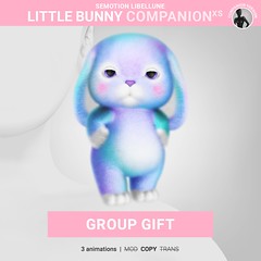 [ GROUP GIFT ] SEmotion Libellune Little Bunny XS Companion