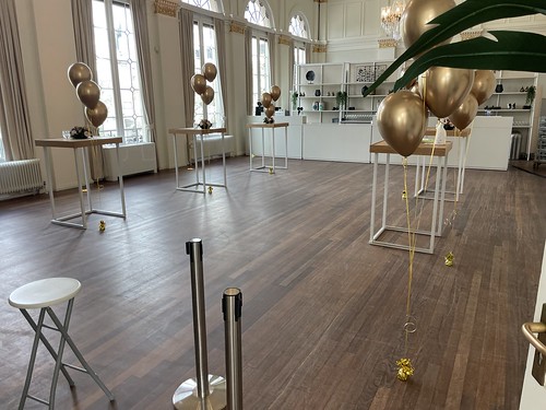 Gronddecoratie 3ballonnen Salon Wereldmuseum Rotterdam