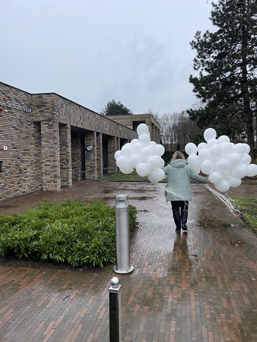 Heliumballonnen Uitvaart Dela Schollevaar Crematorium Uitvaartcentrum Begraafplaats Capelle aan den IJssel