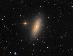 NGC 2841, LRGB