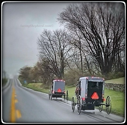 Today’s Truth …  “It’s not about the perfection of my life, but the direction of my life.”  ~ Amish Proverb