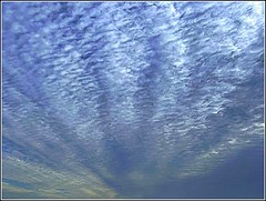 Mackerel Sky ...