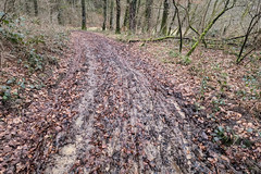 Wet and muddy track