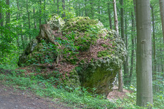Naturpark Habichtswald - Am Brasselberg 12 Felsentor Porta Lapidaria