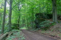 Naturpark Habichtswald - Am Brasselberg 15 Felsentor Porta Lapidaria